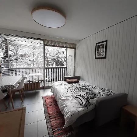 Quartier Calme Centre Vue Mont Blanc Apartment Chamonix